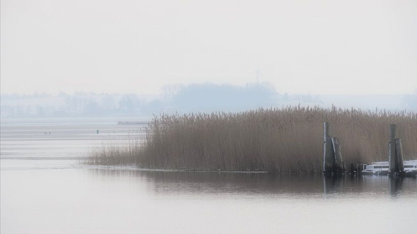 Paysage lacustre juste avant la glaciation par Bertrand Bessin