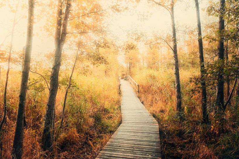 Spaziergang im Herbst von Claudia Moeckel