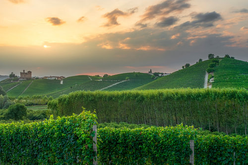 Grinzane Cavour Castle and Langhe Vineyards at Sunset
