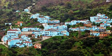 blue smurf village