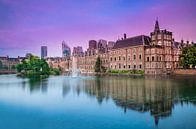 The Hague - Hofvijver - Binnenhof von Ricardo Bouman Fotografie Miniaturansicht