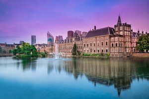 Den Haag - Hofvijver en Binnenhof in de Lente van Ricardo Bouman