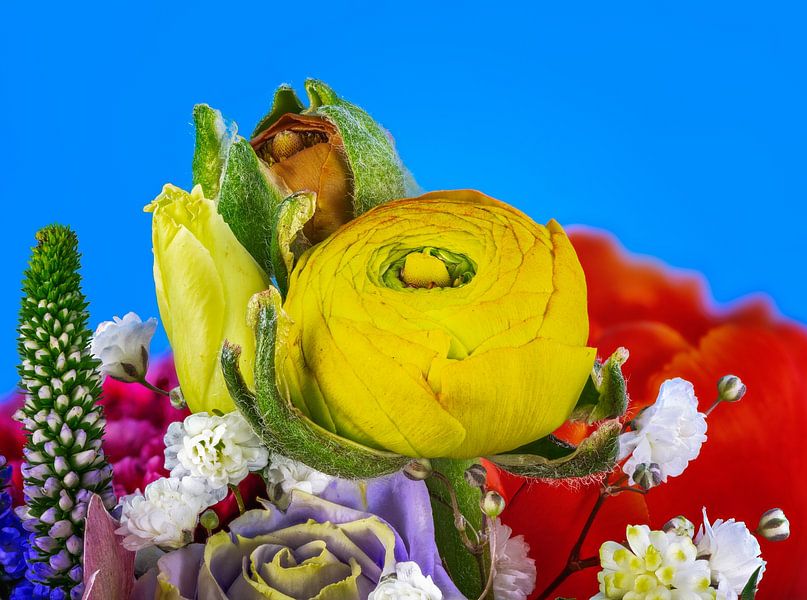Colorful bouquet with spring flowers by ManfredFotos