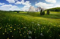 Greenery Waves by Steffon Reid thumbnail