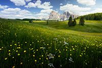 Greenery Waves