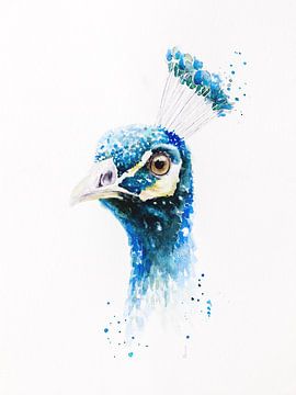 Stolzer Pfau in Aquarell von Atelier DT