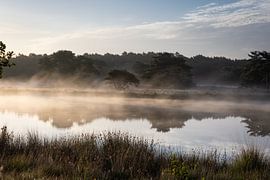Réflexion de la nature dans l'eau avec de la brume. sur Tim Lecomte