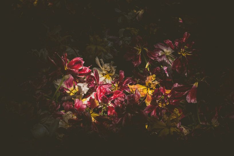 Stillleben mit toten Tulpen von Margriet Hulsker