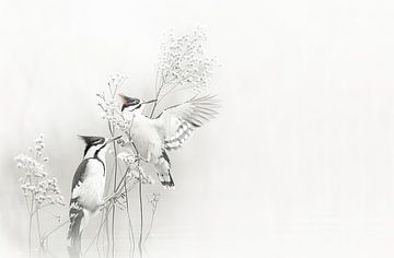 Twee Vogels in de Bloesemboom - zwart | wit van Karina Brouwer