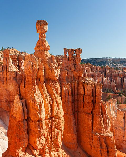 Thor&#039;s Hammer, Bryce Canyon, Utah by Henk Meijer Photography
