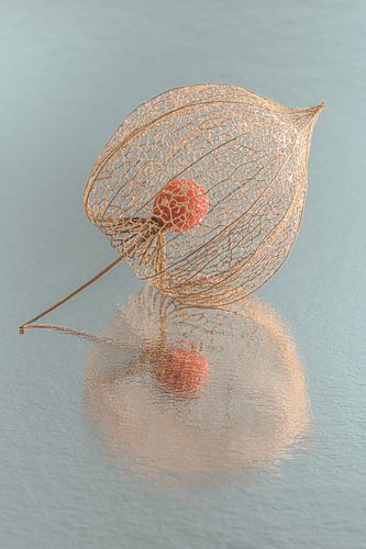 Pastelkleurig lampionnetje met reflectie op turquoise (blauwgroene) ondergrond