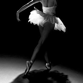 ballerina van Dennis Robroek