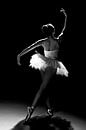 ballerina van Dennis Robroek thumbnail