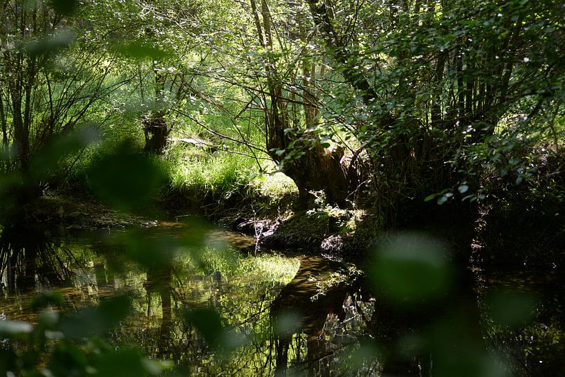 Into the river by Erick's Photo Experience