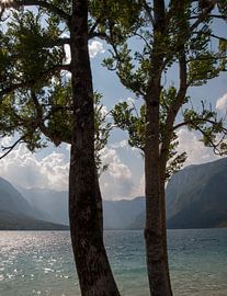 Meer van Bohinj von Rinke Velds
