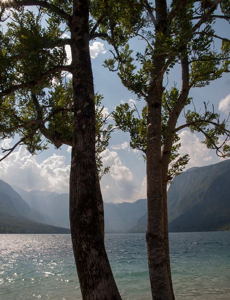 Meer van Bohinj von Rinke Velds