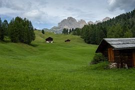 alpe di siusi by Sebastian Stef