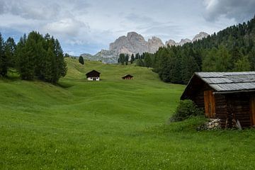 alpe di siusi van Sebastian Stef