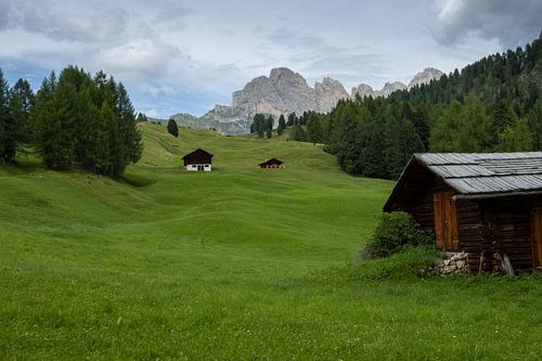 alpe di siusi