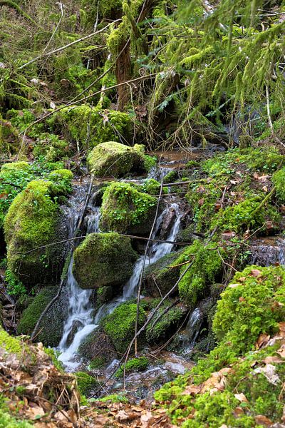 Waterval van Daniel Dorst