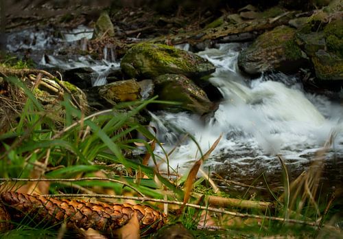 Nature and landscape in the Erzgebirge