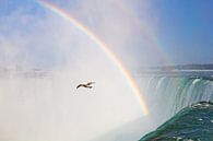 Niagara watervallen van Teuni's Dreams of Reality thumbnail