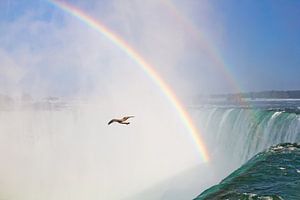 Niagara watervallen van Teuni's Dreams of Reality