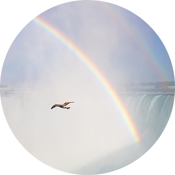 Niagara watervallen van Teuni's Dreams of Reality