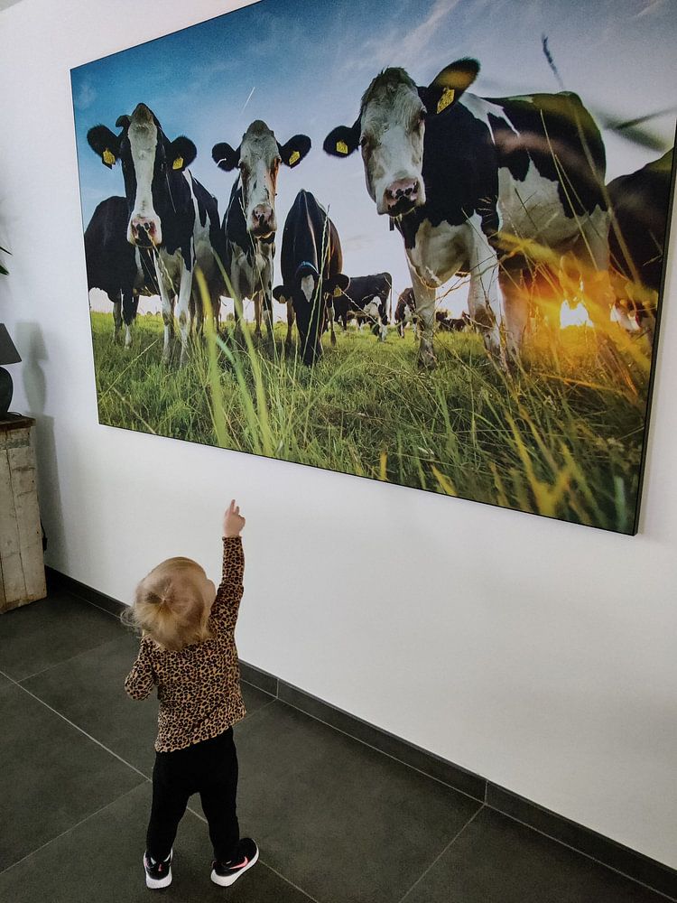 Kiekeboe  van Michel de Koning 