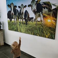 Photo de nos clients: Kiekeboe par Michel de Koning, sur art frame