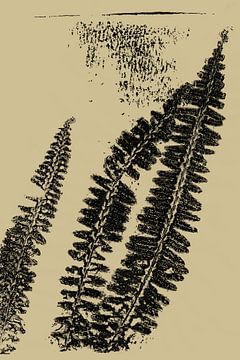 Modern Botanical art. Ferns in neutral color palette no. 1 by Dina Dankers