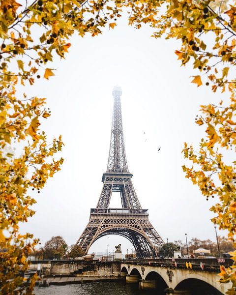 Paris by Hello Pompoyo