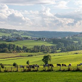 Landschaft mit Kühen im Jura. von Hanneke Luit