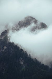 Montagne Hochkönig avec nuages et pins