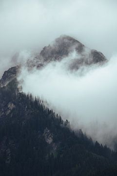 Hochkönig berg met wolken en dennenbomen van Lennart ter Harmsel