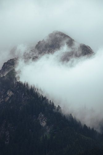 Hochkönig mit Wolken und Kiefern von Lennart ter Harmsel