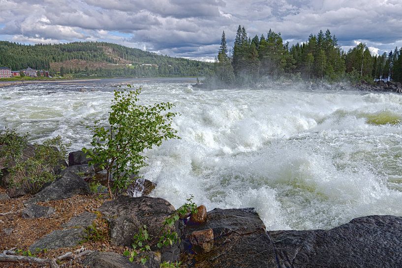 Schweden, Sforforsen Eine starke Stromschnelle von Edwin Kooren