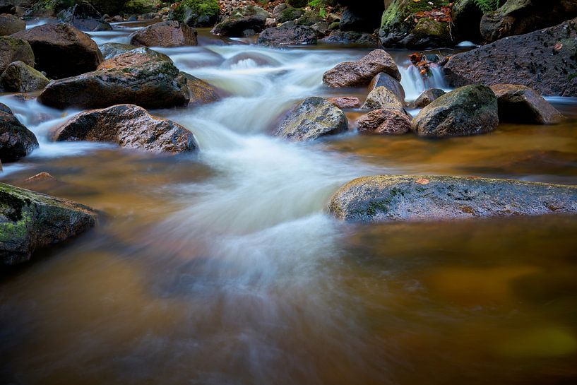 The river Ilse in the Harz National Park by Heiko Kueverling