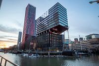 La pomme rouge de Rotterdam