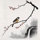 Blossom branch by Matteo Bellini thumbnail