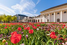 Tulpen im Kurpark von Baden-Baden in Deutschland von Werner Dieterich