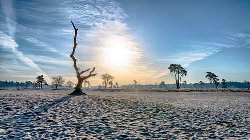 Kunst in het landschap