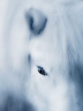 Das weiße Pferd von Maria Almyra