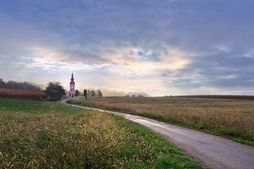Die rosa Kirche von René Pronk