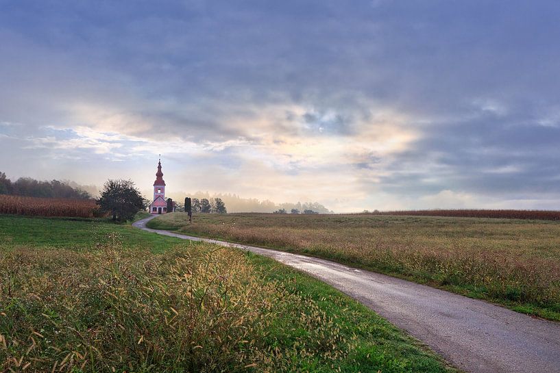 Die rosa Kirche von René Pronk