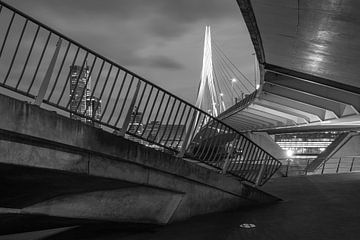 De architectonische Erasmusbrug in Rotterdam in zwart/wit
