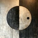 Abstract Zwart-Wit | Harmonic Contrast van Kunst Kriebels thumbnail