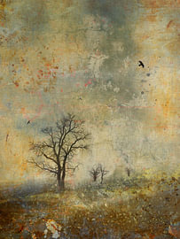 Landscape by Mark Isarin | Fotografie