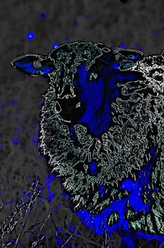 Sheep in Blue 2 van De Rover
