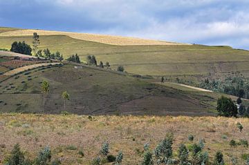 Grüne Hügel Ecuador